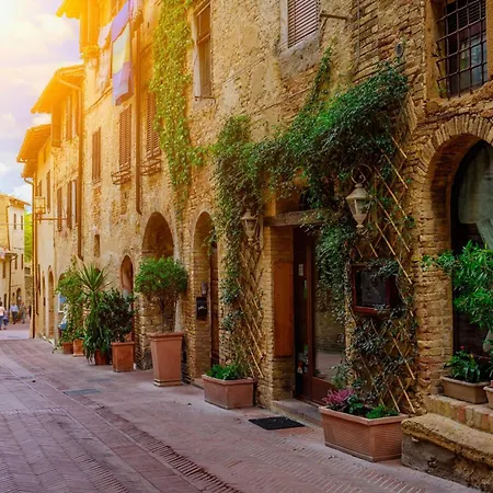 Betulla C San Gimignano
